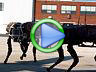 Amazing Robot Designed for Military Use
